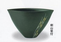 光竜-２４５