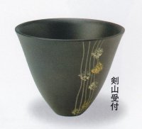 光竜-２３７