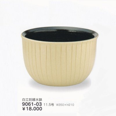 画像1: 白立刻線水鉢１１.５号　9061-03