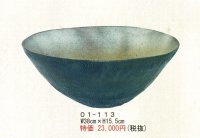 ０１-１１３