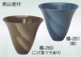 画像1: 橘-２６０・２６１ (1)