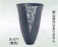 大-５７１ 鉄色