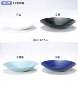 プラ１２号大皿　１９-２４