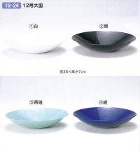 プラ１２号大皿　１９-２４
