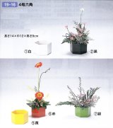 プラ４号六角　１９-１６