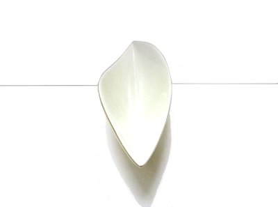 画像4: アクリル樹脂製 １３.５号 クリーム変形舟型自由花花器