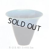 かがやき  K-２５