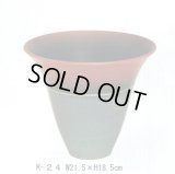 かがやき  K-２４